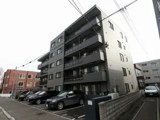 S T COLLINEの画像