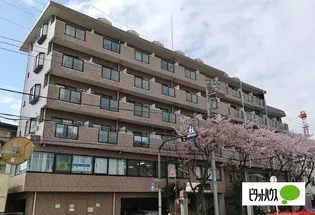 日神パレステージ亀有の画像