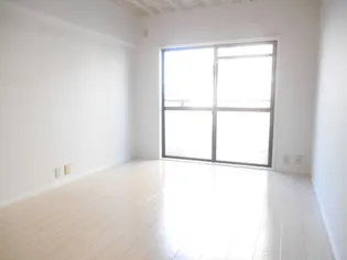 隆豊ハイツ【1階】の内装