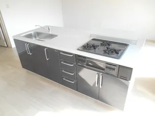 隆豊ハイツ【1階】のキッチン