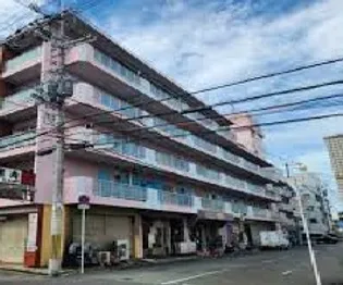 大阪府大阪市平野区平野西4【マンション】の外観