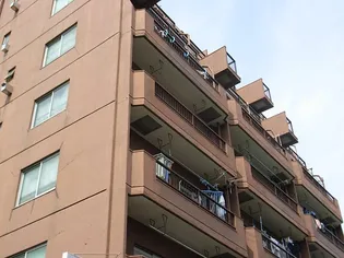 総武ロイヤルハイツの画像