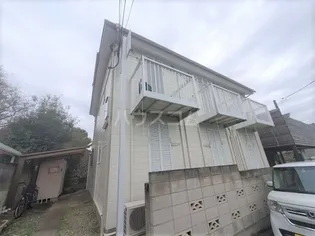 サンホワイトの画像