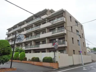 パレッヂ新小岩の画像