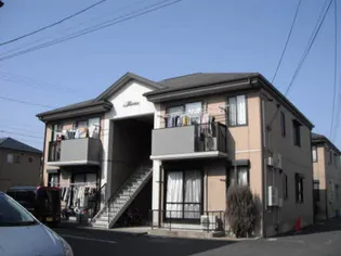 フォーレス ティー ローズCの画像