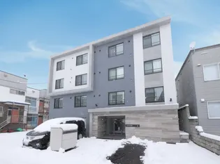 COCO中の島の画像