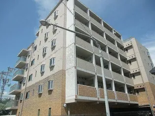 ラフィーネ大供の画像