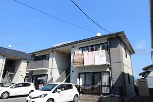 ボーンハピネスの画像
