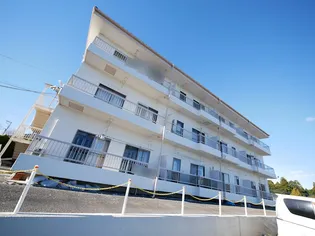 ヒルトップの画像