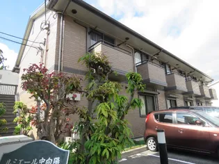 ルミエール中向陽【1階】の外観