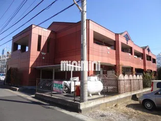 フォーチュンの画像