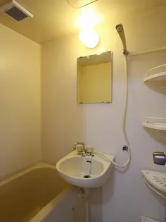 ディマンシェパル【1階】の風呂