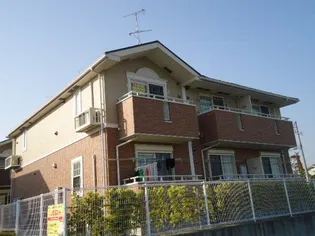 ネオ コートAの画像