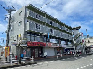 神奈川県平塚市河内1【マンション】の外観