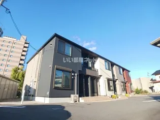 ベル ヴィオラ ドゥの画像