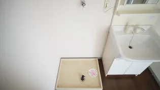 ペアーハイツ B【2階】の内装