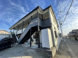 アムールの画像