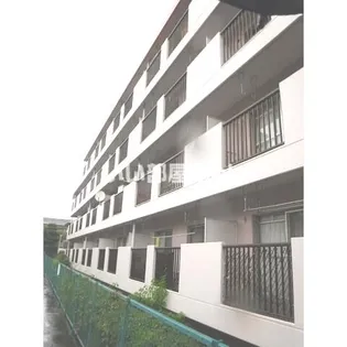 エクセルコートの画像