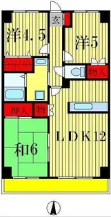 グランディス新八柱【4階】の間取り