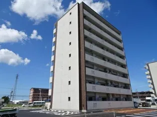 アンジューVIの画像