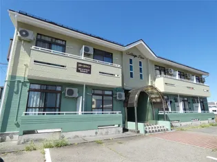 コテージパインの画像