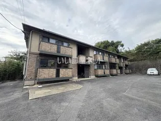 ウィルモアK Tの画像