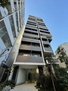 ARCOBALENO KAMEIDOの画像