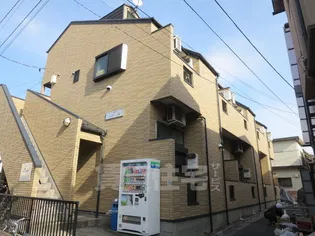 ライゼ立花の画像