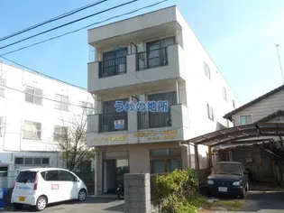 アカリナの画像