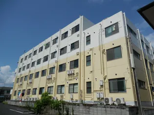 ハイツユニバーシティ 鹿児島市賃貸マンション【3階】の外観