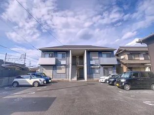 セネシオ Aの画像