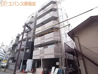 チェリーブロッサムの画像