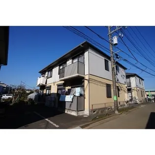 アイリスの画像