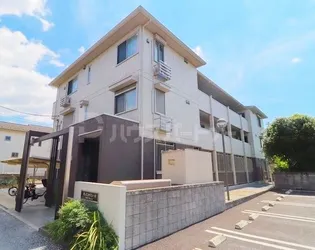 ソレイユ ドミュールの画像