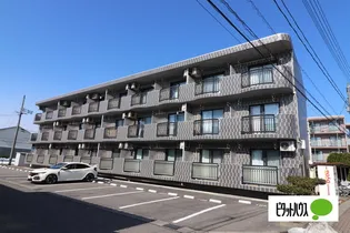 ラーレTOKIMEKIIIの画像