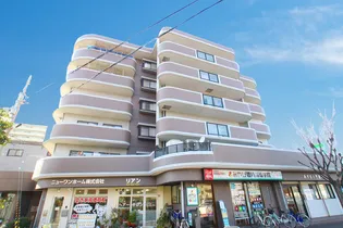 大阪府大阪市平野区喜連東4【マンション】の外観