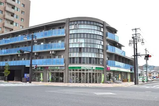 広島県広島市南区段原日出1【マンション】の外観