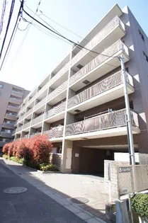 パスレル秀栄の画像