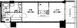 カレ スピラル【5階】の間取り