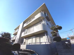 パークプラザ大倉山の画像