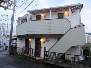 ピュアブラッサムの画像