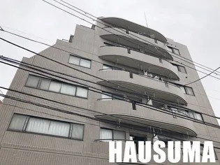 カーサーシンセラーの画像