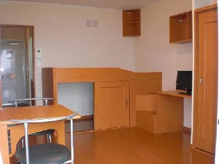 レオパレスメイプル21【2階】の内装