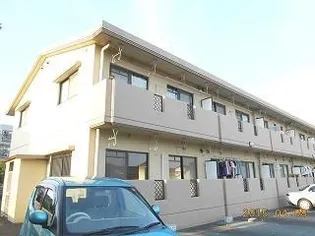 コンフォートMの画像