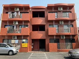 グレースの画像