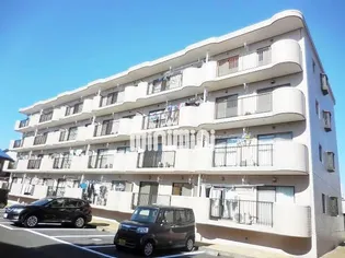 コモド天野の画像