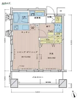 ダイナシティ新宿若松町【8階】の間取り