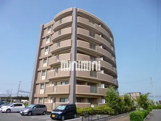 クレッシェンド美宇の画像