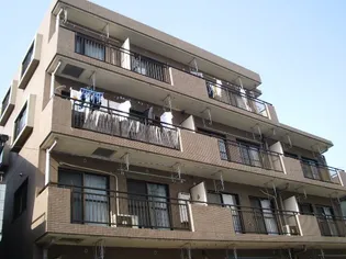 ノーザンライトの画像