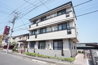 サクラソウ戸田の画像